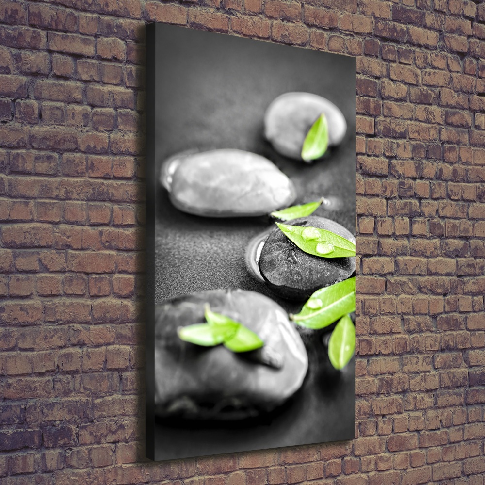 Canvas print Zen stones leaves