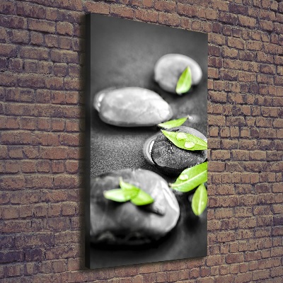 Canvas print Zen stones leaves