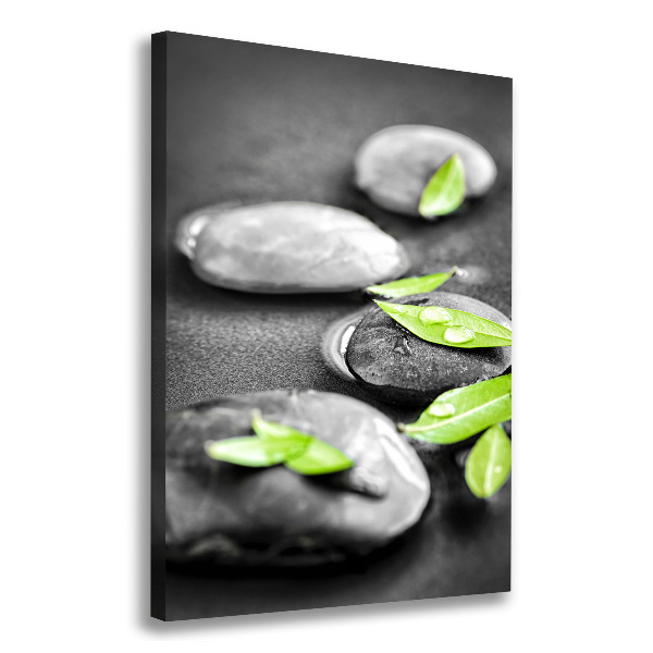 Canvas print Zen stones leaves