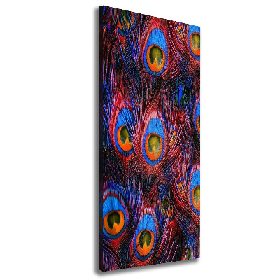 Canvas wall art Peacock feathers