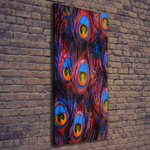 Canvas wall art Peacock feathers