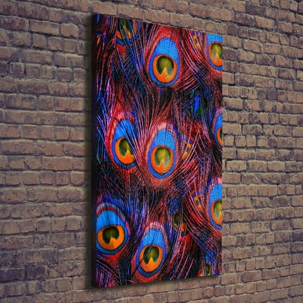 Canvas wall art Peacock feathers