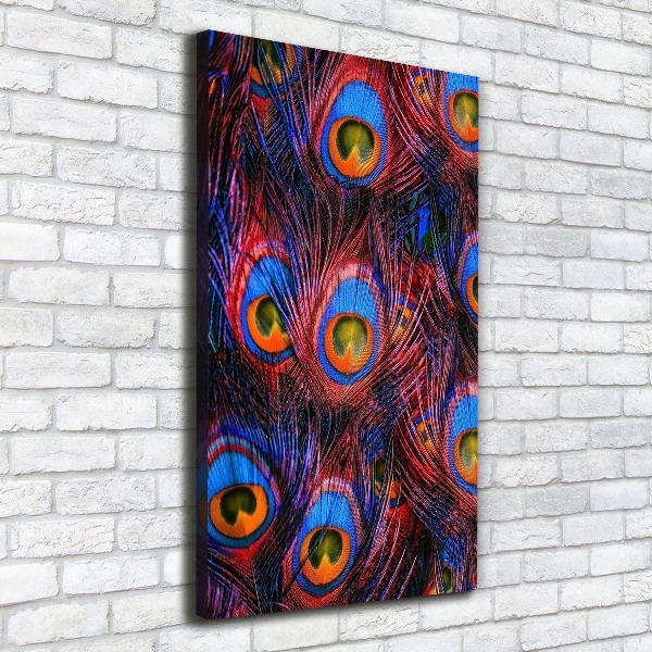 Canvas wall art Peacock feathers