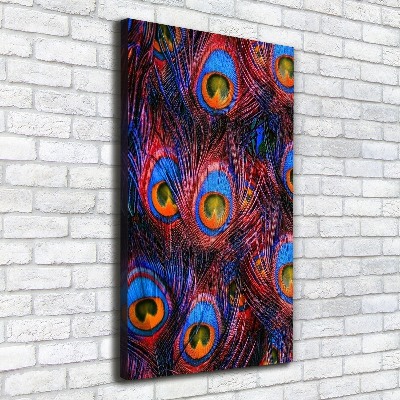 Canvas wall art Peacock feathers