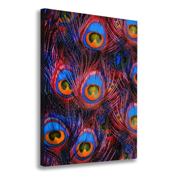 Canvas wall art Peacock feathers