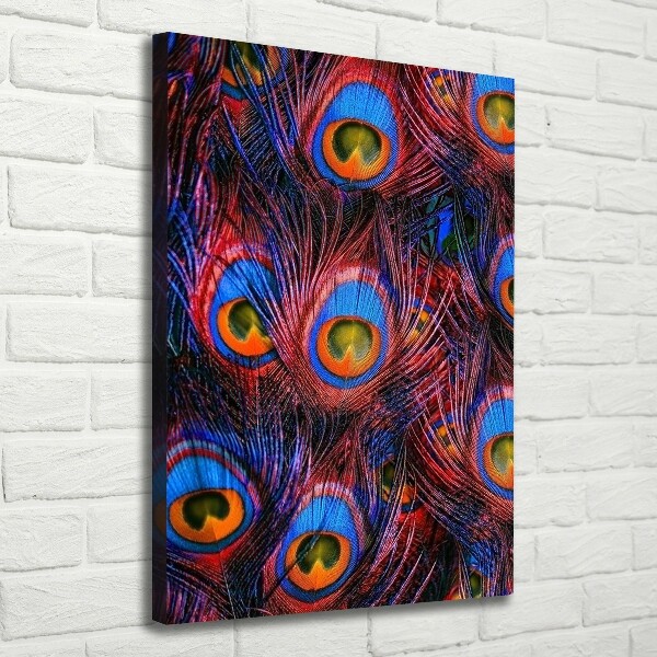 Canvas wall art Peacock feathers