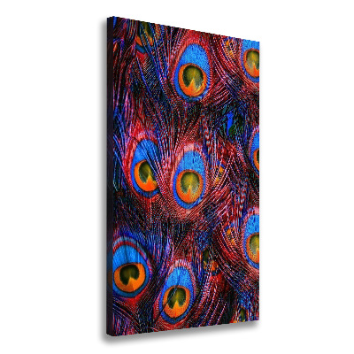 Canvas wall art Peacock feathers