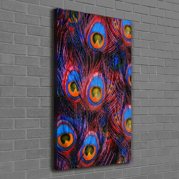 Canvas wall art Peacock feathers