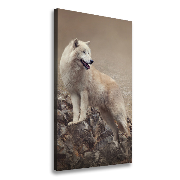 Large canvas wall art Wolf on the rock