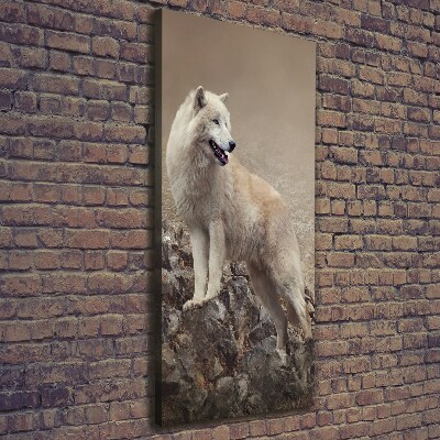 Large canvas wall art Wolf on the rock