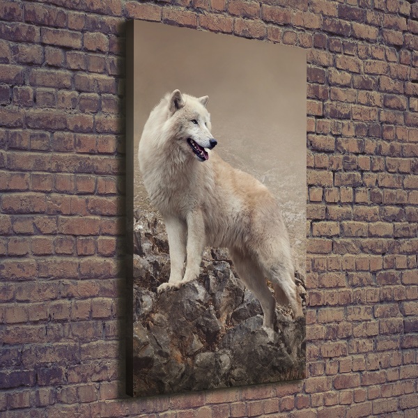 Large canvas wall art Wolf on the rock