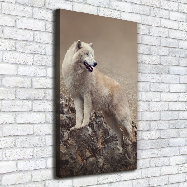 Large canvas wall art Wolf on the rock