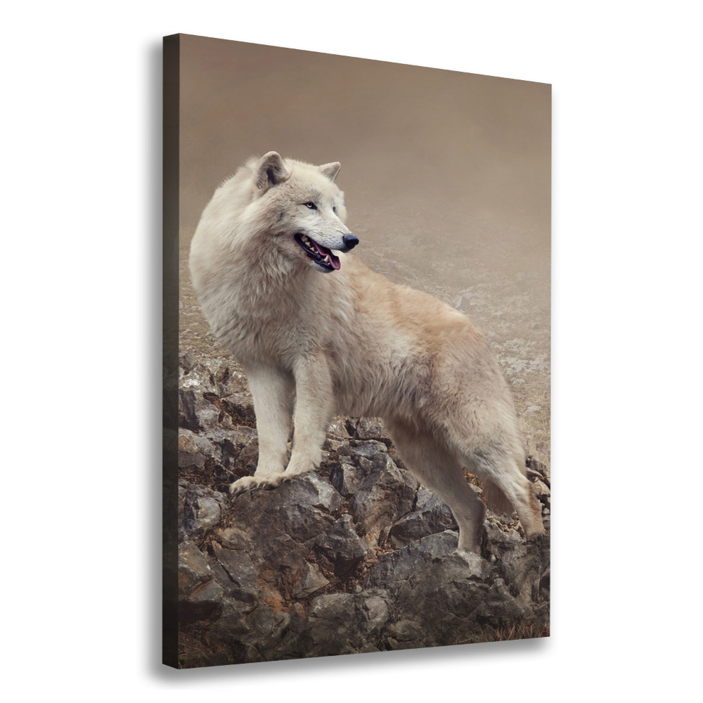 Large canvas wall art Wolf on the rock