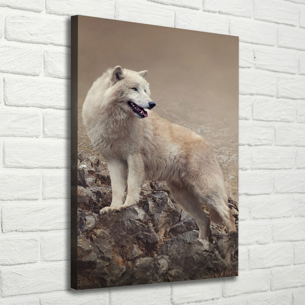 Large canvas wall art Wolf on the rock