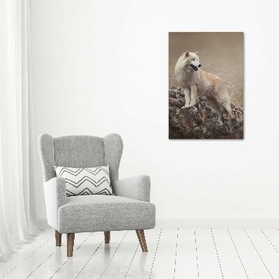 Large canvas wall art Wolf on the rock