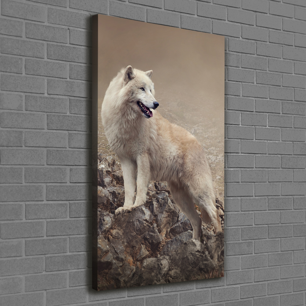 Large canvas wall art Wolf on the rock