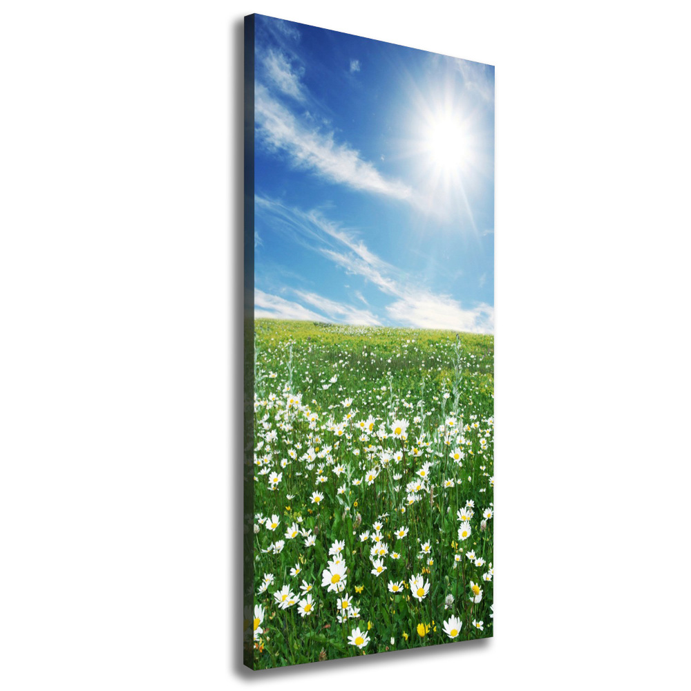 Canvas wall art Meadow