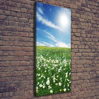 Canvas wall art Meadow