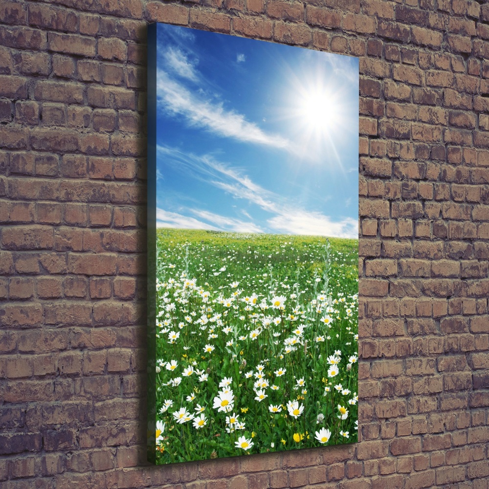 Canvas wall art Meadow