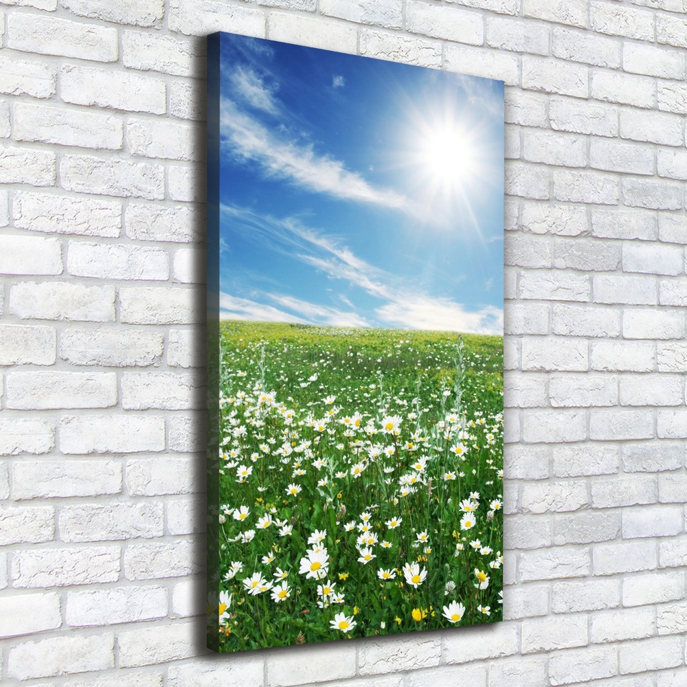 Canvas wall art Meadow