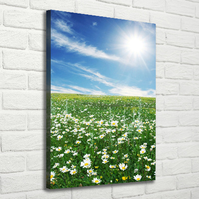 Canvas wall art Meadow