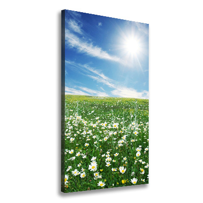 Canvas wall art Meadow