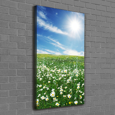 Canvas wall art Meadow