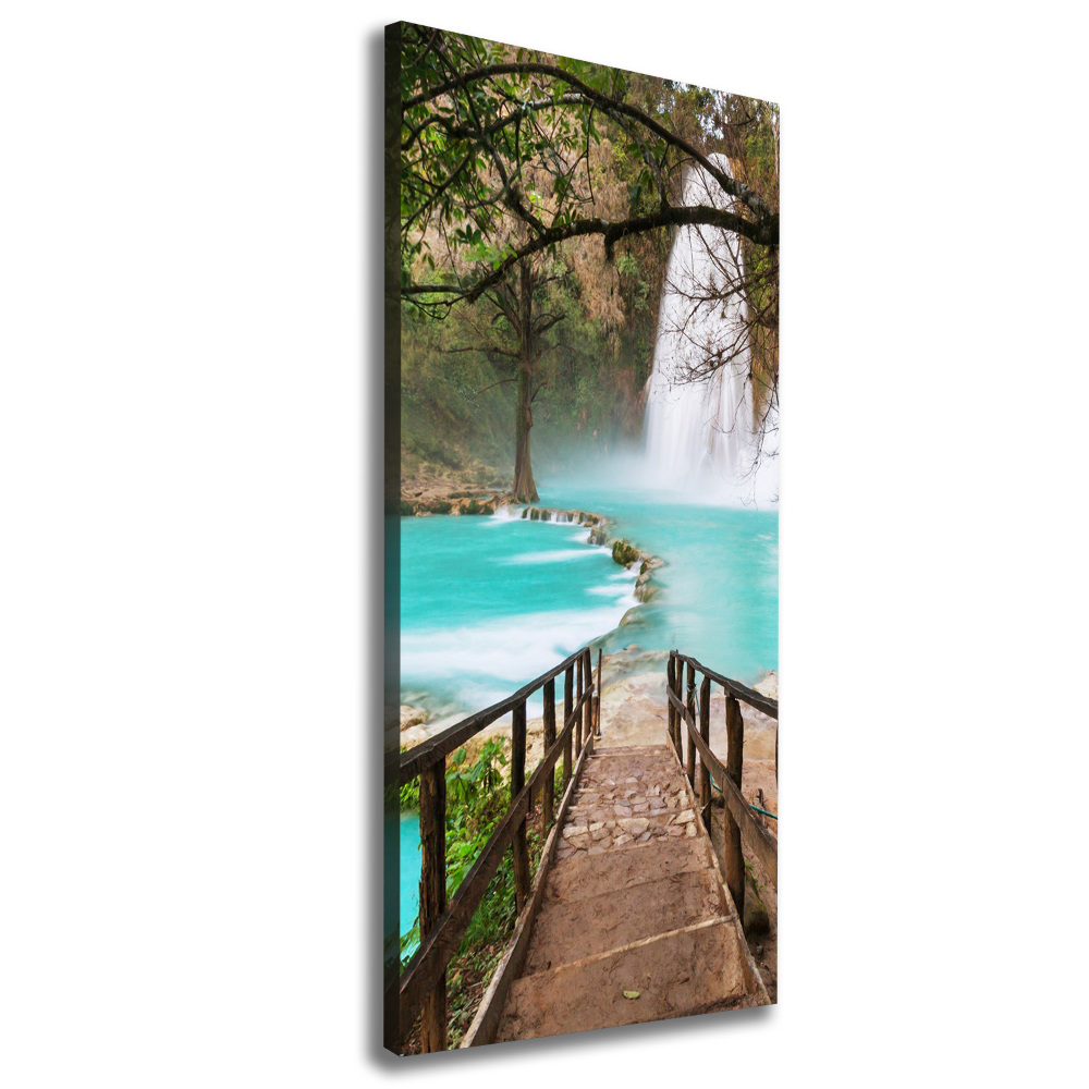 Canvas wall art Mexico waterfall