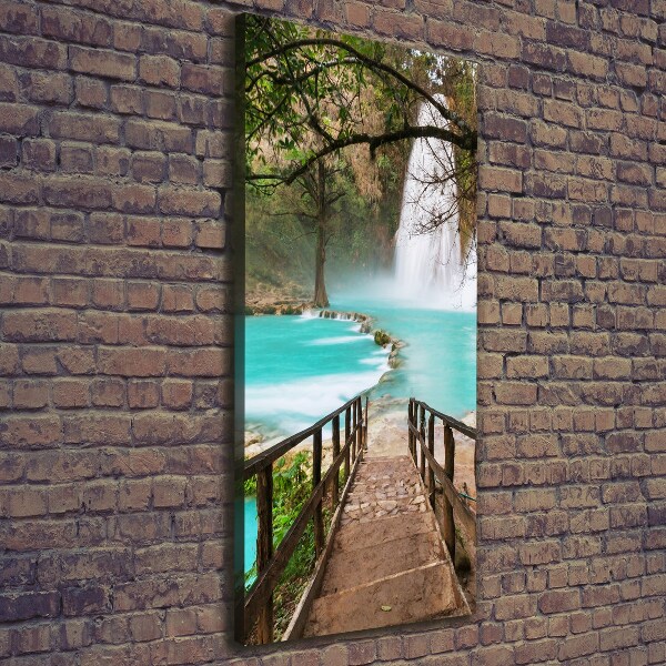 Canvas wall art Mexico waterfall