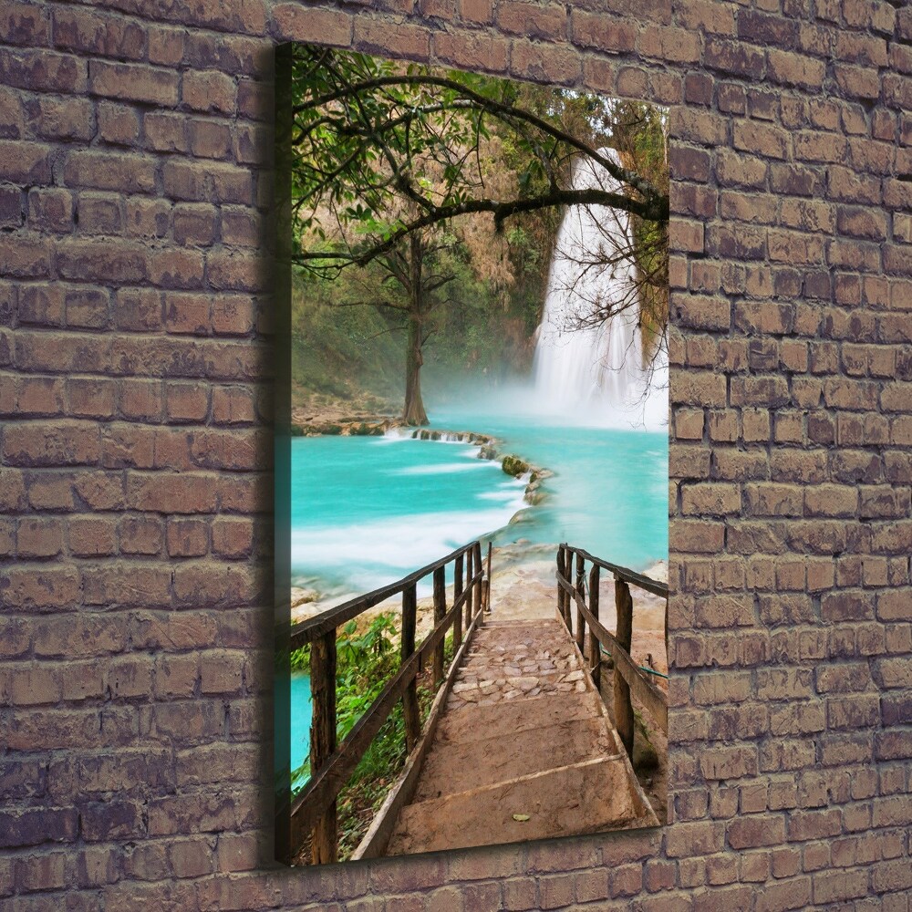 Canvas wall art Mexico waterfall