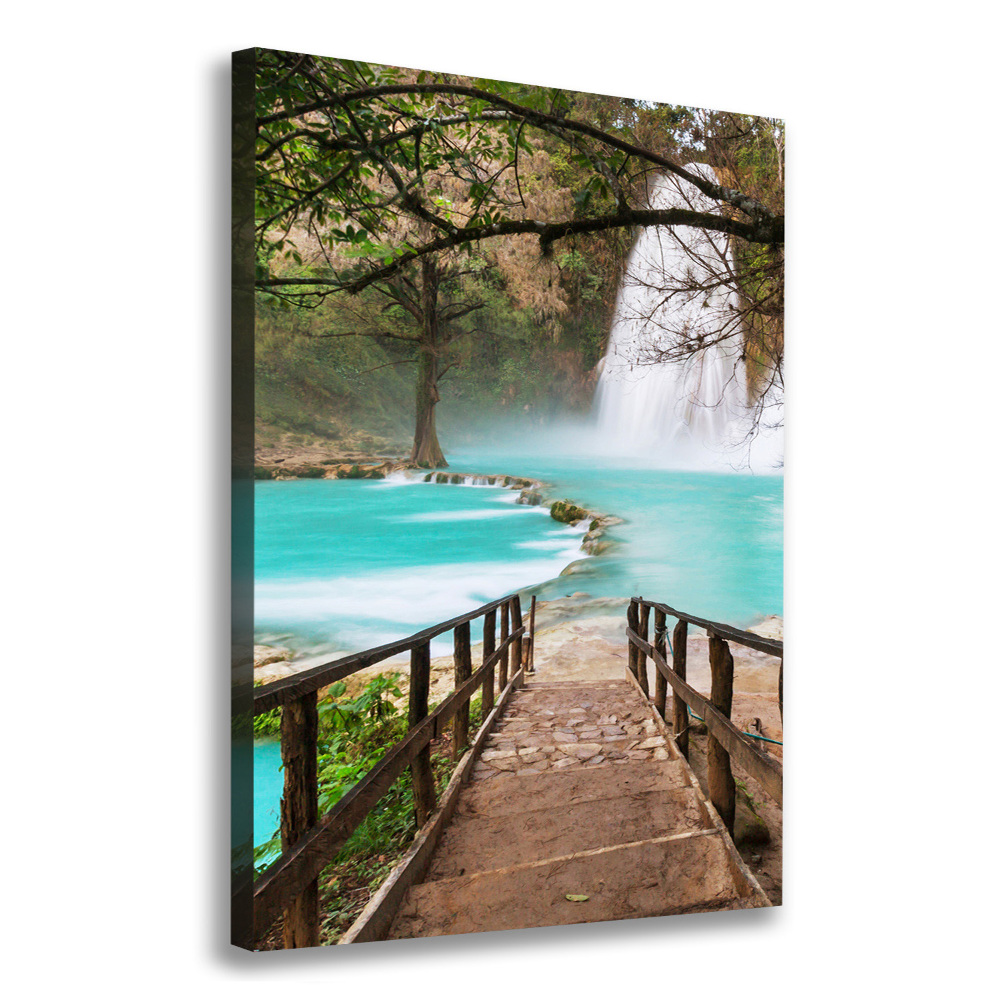 Canvas wall art Mexico waterfall