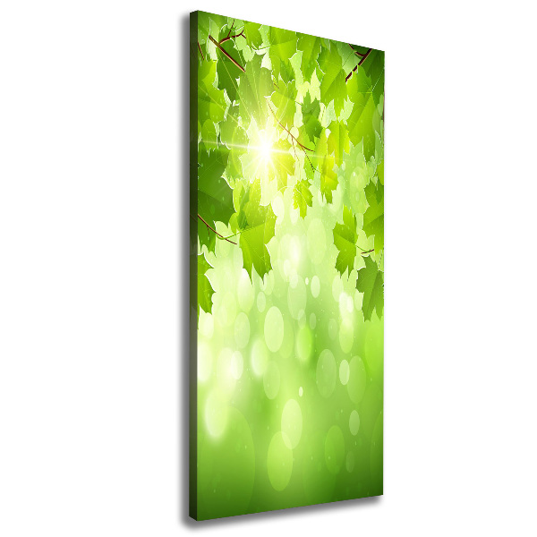 Wall art canvas large Green leaves