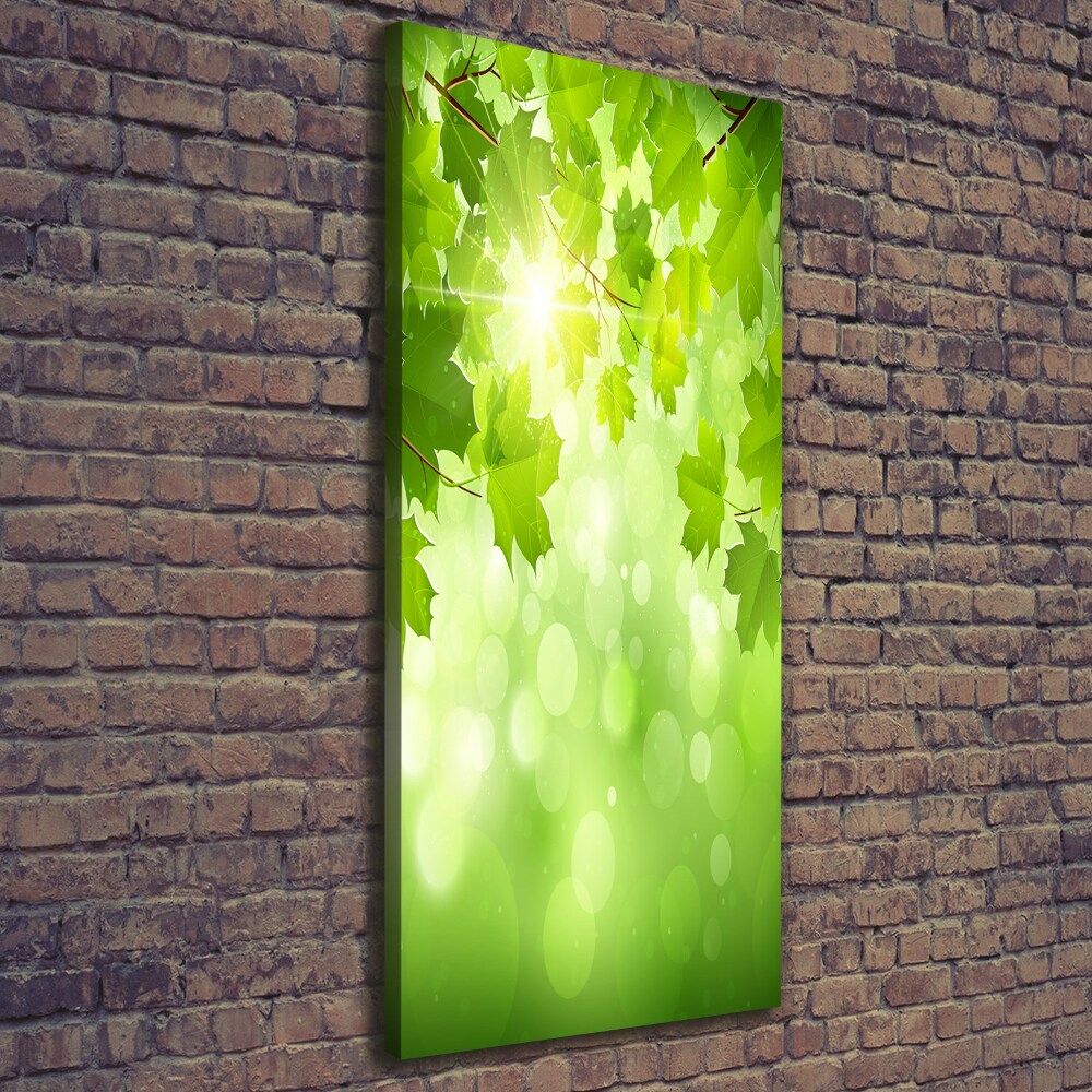 Wall art canvas large Green leaves