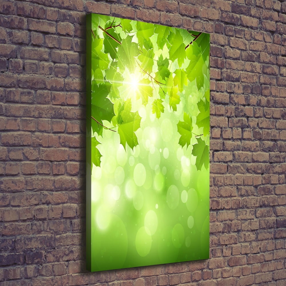 Wall art canvas large Green leaves