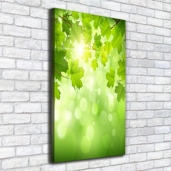 Wall art canvas large Green leaves