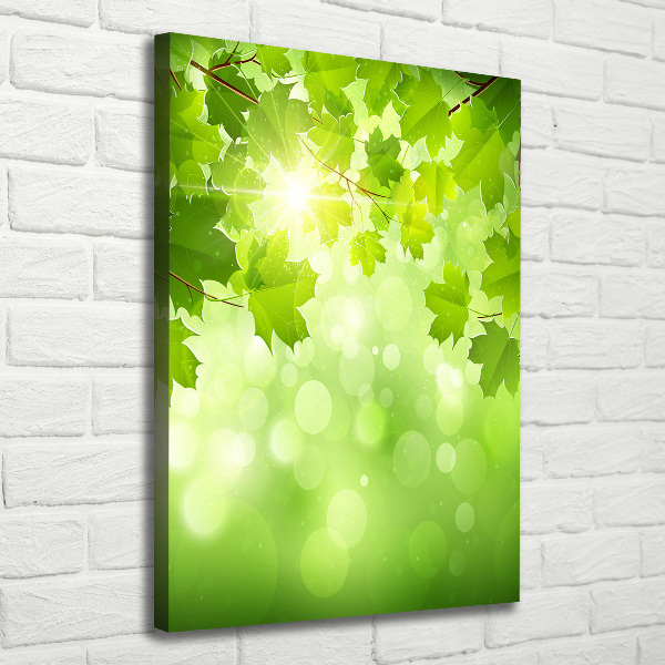 Wall art canvas large Green leaves