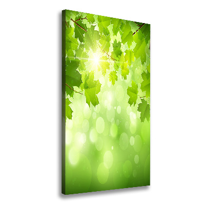 Wall art canvas large Green leaves