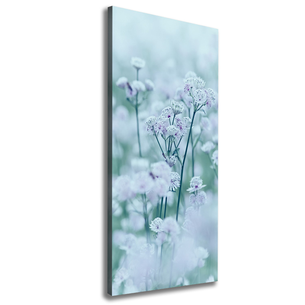 Canvas print Jarm