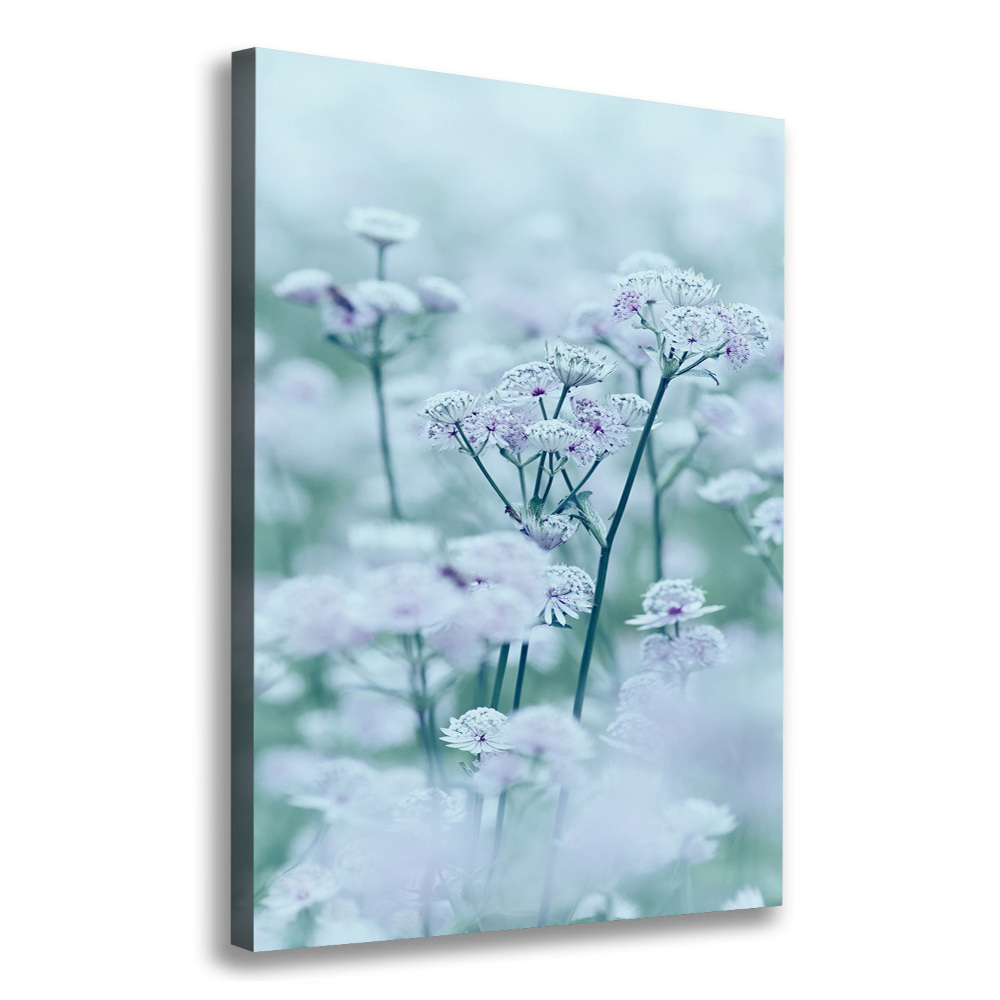 Canvas print Jarm