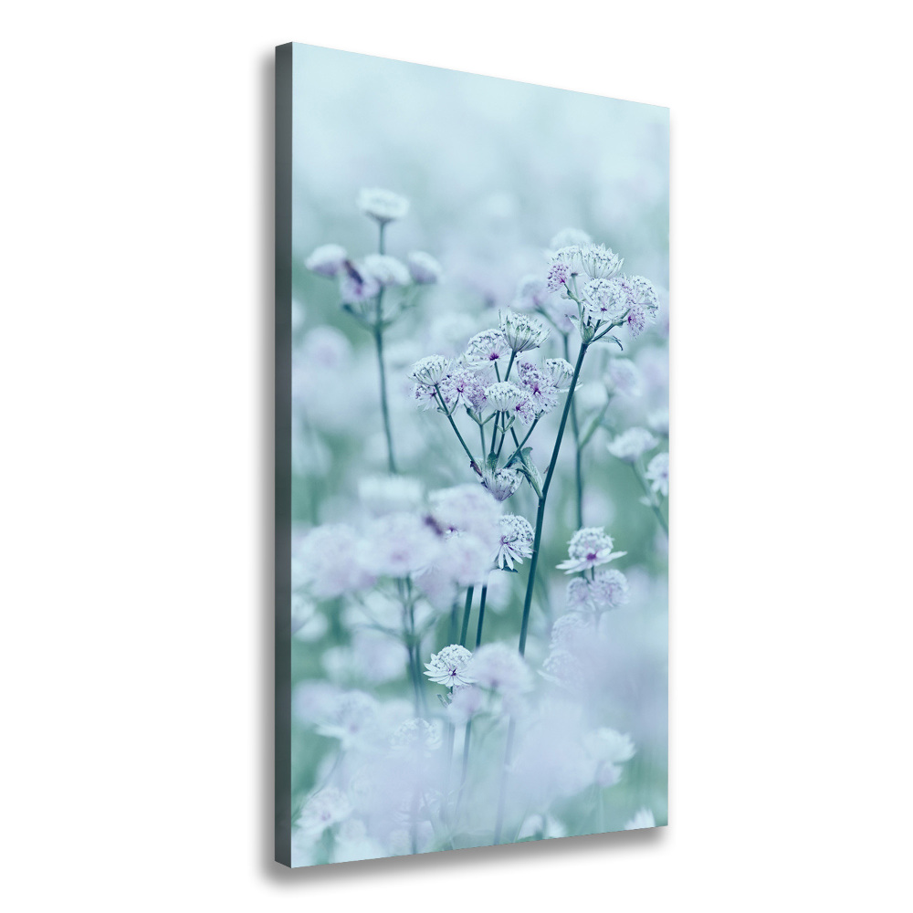 Canvas print Jarm