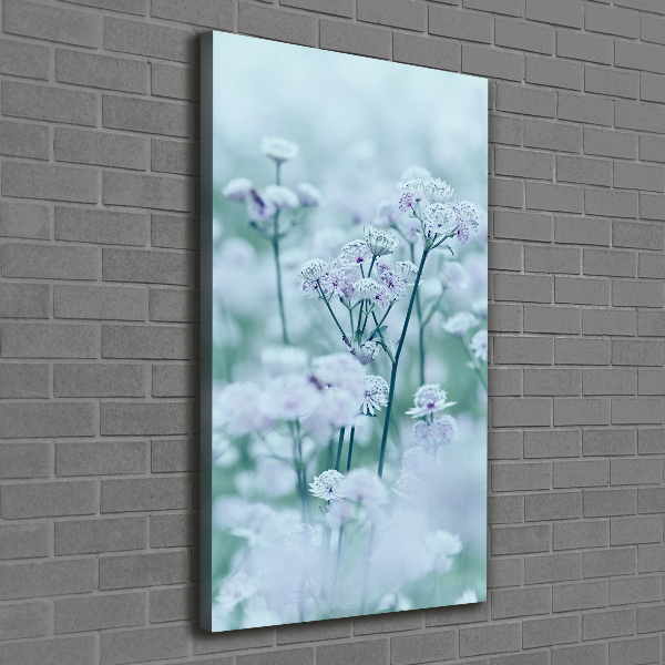 Canvas print Jarm