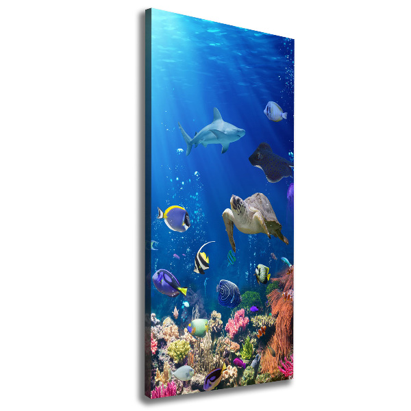 Large canvas wall art Coral reef