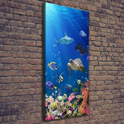 Large canvas wall art Coral reef