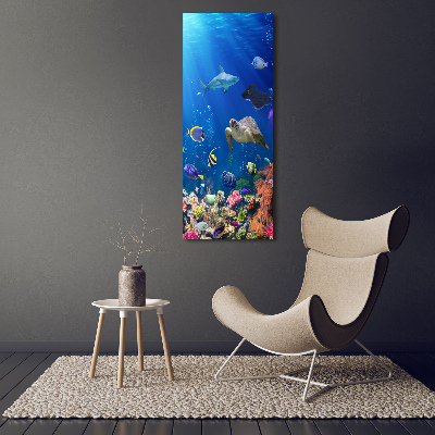 Large canvas wall art Coral reef