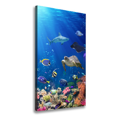 Large canvas wall art Coral reef