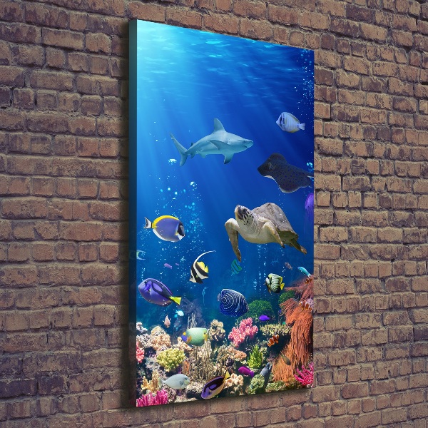 Large canvas wall art Coral reef