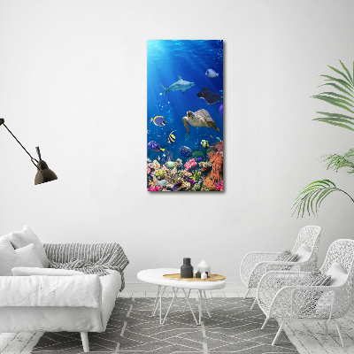 Large canvas wall art Coral reef