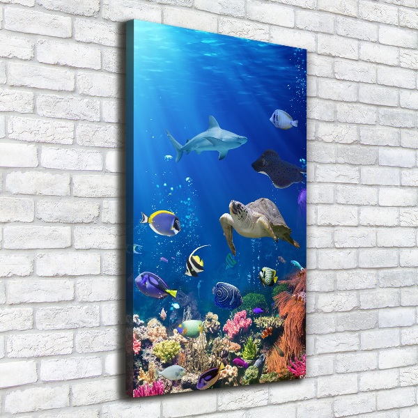 Large canvas wall art Coral reef