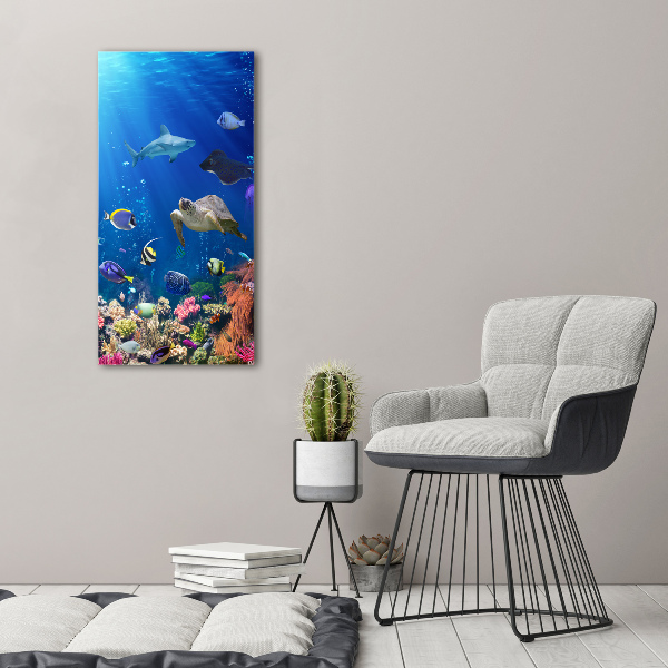 Large canvas wall art Coral reef