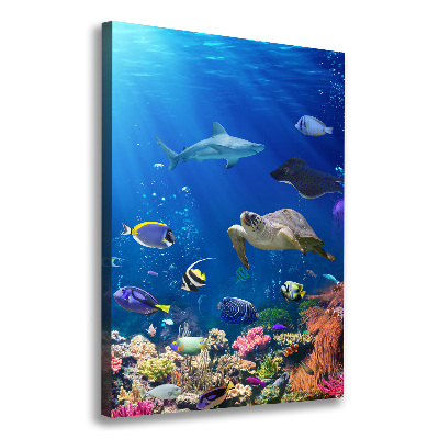 Large canvas wall art Coral reef